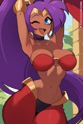 1girls belly belly_button blush bra breasts cleavage closed_eyes clothed clothing eyebrows eyelashes eyes female female_focus female_only hair hips one_eye_closed purple_hair scrimblocrimbo shantae shantae_(character) wide_hips