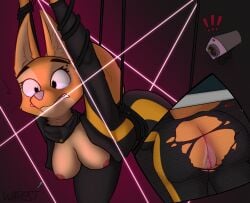 big_ears bodily_fluids bondage bondage bound breasts camera canid canine clothing diane_foxington dreamworks female fox genitals hi_res laser mammal ninja nipples picture_frame red_fox rope solo surprised_expression the_bad_guys torn_clothing true_fox vulva warest warrior