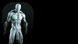 3d faceless flaccid ghost male male_only mrflaptastic muscular nude outlast penis solo source_filmmaker spirit vein video_games walrider