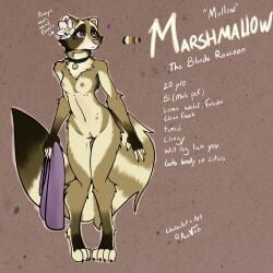 1:1 absurd_res accessory acev anthro breasts collar english_text female flower flower_accessory flower_in_hair fur hair hair_accessory hi_res mammal model_sheet nude plant procyonid raccoon reference_image small_breasts text towel yellow_body yellow_fur