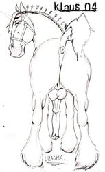 anus balls equine erection feral horse klaus_doberman male male_only mammal penis sketch solo