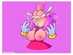 amy rose from friday night funkin by tweedleevil