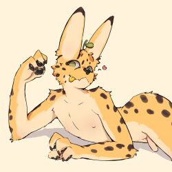 10ov0 1:1 2025 anthro big_ears black_body black_claws black_fur black_pawpads black_spots claws digital_media_(artwork) felid feline femboy foreskin fur genitals green_eyes heart_symbol hi_res humanoid_genitalia humanoid_penis leaf looking_at_viewer lying mako_(10ov0) male mammal markings mouth_closed multicolored_body multicolored_fur nipples nude on_side pawpads penis serval simple_background skin_fang small_penis solo spots spotted_body spotted_fur spotted_markings tongue tongue_out two_tone_body two_tone_fur uncircumcised white_background white_body white_fur wide_hips yellow_body yellow_fur yellow_tongue