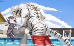 5_fingers anal anal_sex black_penis clothing cloud felid feline fingers fur genitals hi_res male male/male mammal onensfw penetration penis pool sky swimming_trunks swimwear tail