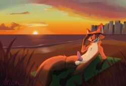 anentheotter anthro balls beach beach_towel building canid canine city digitigrade disney eyewear eyewear_on_head fox fur genitals green_eyes hi_res knot knotted_penis male male_only mammal nick_wilde nude outside penis red_fox rim_light signature sky smile solo sun sunglasses sunglasses_on_head sunset tail towel true_fox zootopia