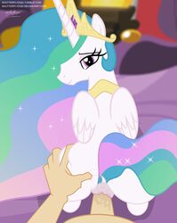 2016 alicorn anus ass crown duo equine female feral friendship_is_magic fur hair horn human human_male humanoid_penis inside jewelry looking_at_viewer mammal multicolored_hair my_little_pony necklace penetration penis princess_celestia_(mlp) purple_eyes pussy pussy_juice sex shutterflyeqd vaginal_penetration white_fur wings