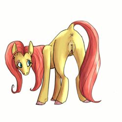 animal animated anus blink equine flash fluttershy_(mlp) friendship_is_magic horse mammal my_little_pony pony pussy straight_hair