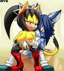 fan character from sega by marthedog