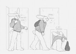 accident accidental_exposure animal_genitalia anthro ass backpack balls blush bottomless buckteeth clothed clothing covering covering_crotch covering_self doorway embarrassed fur genitals hi_res hoodie hoodie_only lagomorph leporid male mammal partially_clothed penis public public_nudity rabbit resrabbutt sheath short_tail simple_background sitting solo speech_bubble sweater tail teeth text topwear topwear_only
