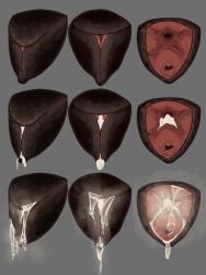 animal_genitalia animal_pussy bodily_fluids canid canine canine_genitalia canine_pussy cum cum_drip cum_in_pussy cum_inside cum_string cumshot digital_drawing_(artwork) digital_media_(artwork) dripping ejaculation female feral fifity genital_fluids genitals hi_res internal internal_vaginal leaking_cum mammal multiple_angles precum pussy shaded spread_pussy spreading zero_pictured