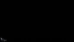 10_seconds alexavr animal_tail animated animated_gif ass black_screen_roulette gif long_hair pov shorter_than_30_seconds tagme vrchat vrchat_avatar vrchat_model wings