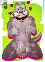2025 a_minecraft_movie anthro anthrofied balls bedroom_eyes big_balls big_penis bodily_fluids bone bone_in_mouth border canid canine canis character_name collar dennis_(a_minecraft_movie) dripping english_text erection front_view fur genital_fluids genitals glans green_background heart_symbol hi_res humanoid_genitalia humanoid_penis kneeling looking_at_viewer male mammal microsoft minecraft mojang motion_lines musk musk_clouds musky_balls name_tag narrowed_eyes nude penis precum precum_drip seductive shadow shawd simple_background smile solo tail tail_motion tailwag teeth text thick_penis tuft urethra url vein watermark white_border wolf wolf_(minecraft) xbox_game_studios