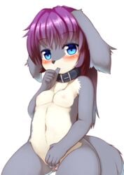 24cakes blue_eyes blush canine collar hair mammal nipples nude purple_hair pussy sitting sucking thumb_suck