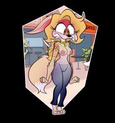 anthro areola blush breasts canid canine clothing collar disappearing_clothing embarrassed female fennec_fox forced_nudity_collar fox genitals gold_(metal) gold_collar hair hi_res long_ears long_hair mammal metal_collar nipples penny_fenmore pussy solo tail translucent translucent_clothing true_fox wide_hips zarnacius