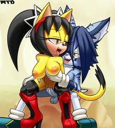 fan character from sega by marthedog