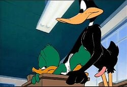 2boys age_difference all_fours anal animated anthro ass avian balls_deep bent_over big_dom_small_sub bird black_feathers clenched_teeth clothing creampie cum cum_in_ass cum_inside daffy_duck doggy_style duck duo from_behind_position gay green_feathers hammytoy incest looking_pleasured looney_tunes male male_only orgasm_face penis pleasure_face plucky_duck rough_sex sex size_difference soft_feathers thrusting_into_ass tiny_toon_adventures tongue_out warner_brothers yaoi