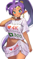 large_breasts life_is_pi purple_hair shantae shantae_(character) t-shirt-meme tagme