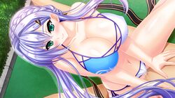 amasaka_takashi bikini breasts large_breasts selphine_flowlight sex swimsuit tagme unionism_quartet