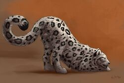 2016 anatomically_correct anchee animal_genitalia anthro ass balls feline feral fur grey_fur kieran kieran_(kierish) leopard leopard_spots male male_only mammal presenting presenting_hindquarters raised_tail sheath simple_background snow_leopard solo spots white_fur