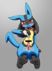 1boy 2015 3_toes alcohol animal_genitalia animal_penis anthro beverage black_fur blue_fur blush bottle canine canine_penis censored erection feet front_view fur furry grey_background hi_res hindpaw ineffective_censorship knot lucario mabuta_1 male male_only mammal multicolored_fur nintendo pawpads paws penis pokemon pokemon_(species) pouring red_eyes sake simple_background sitting smile solo teasing toes tongue tongue_out video_games yellow_fur しぐれなひと