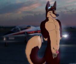 1boy aircraft airplane animal_genitalia anthro balls bandit_(holidaypup) canine dingo furry holidaypup jet looking_at_viewer looking_away male male_only mammal nude penis runway semi-erect sheath smile solo swiss_shepherd twilight