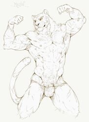 abs armpits biceps bulge feline flexing looking_at_viewer male male_only mammal muscular muscular_male nipples penis pockyrumz simple_background solo text whiskers