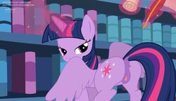 2016 alicorn anus ass bedroom_eyes book clitoral_winking clitoris covered_mouth cutie_mark equine feathered_wings feathers female feral friendship_is_magic fur hair half-closed_eyes horn inside library looking_at_viewer looking_back loose_feather magic mammal multicolored_hair my_little_pony presenting purple_eyes purple_feathers purple_fur purple_hair pussy pussy_juice quill scroll seductive shutterflyeqd solo twilight_sparkle_(mlp) wings