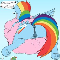 2016 animal_genitalia animal_pussy anus ass blue_fur blush clound cutie_mark english_text equine equine_pussy eyewear female friendship_is_magic fur goggles green_skin hair heart mammal mr._smile multicolored_hair my_little_pony pegasus piercing pov pussy rainbow_dash_(mlp) rainbow_hair rear_view reptile scalie simple_background speech_bubble straight_hair tank_(mlp) text turtle wings