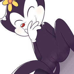 8horns animaniacs dot_warner female flower mammal nude pussy smile spread_legs spreading warner_brothers young