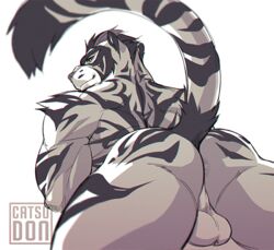 anus athletic backsack balls beard catsudon facial_hair feline male male_only mammal muscular muscular_male nipples pecs penis pose raised_tail solo stripes tiger uncut