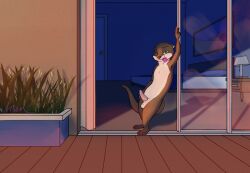 anentheotter animal_genitalia anthro balls bed bedroom bedroom_eyes bodily_fluids brown_body brown_fur claws condom condom_in_mouth curtains door erection evening fur furniture genital_fluids genitals green_eyes hi_res lamp leaning_on_object light male mammal membrane_(anatomy) mouth_hold mustelid narrowed_eyes object_in_mouth otter painting_(object) penis pillow plant precum seductive sexual_barrier_device sheath signature sliding_door solo sunlight tail webbed_hands