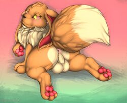 animal_genitalia anus backsack balls big_ears blush canine eevee feral half-closed_eyes looking_at_viewer looking_back lying male mammal namarx7 nintendo on_front pawpads perineum pokemon quadruped raised_tail rear_view sheath signature solo video_games