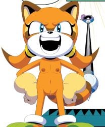 1girls accurate_art_style breasts clitoral_hood clitoris edit edited_official_artwork edited_screencap female_only flat_chest front_view furry genitals idw_comics idw_publishing marine_the_raccoon naked navel nipples nude official_style orange_body orange_fur presenting pussy raccoon sega smiling solo sonic_(series) sonic_the_hedgehog_(idw) tail vagina young
