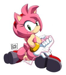 amy rose from sonic (series) by coolblue