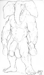 balls balls_to_knees biceps big_balls elbow_tufts elephant glans half-erect holding_object huge_cock looking_at_viewer male male_only mammal monochrome muscular muscular_male penis pubes solo trogan trunk tuft uneven_balls vein veiny_penis