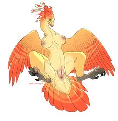 2016 anus areola avian beak big_breasts bird breasts claws english_text feathered_wings feathers female furry furry_only hi_res nipples nude orange_feathers phoenix pink_nipples plump_labia pussy qwertydragon red_feathers semi-anthro signature solo spread_legs spreading text thick_thighs toe_claws wide_hips wings yellow_feathers