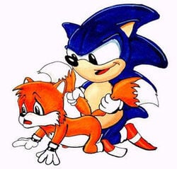 american_sonic american_tails anthro canine classic_sonic classic_tails doggy_style fox fur furry furry_only furry_tail gay gloves hedgehog interspecies male male_only mammal multi_tail multiple_boys no_humans sega sex sonic_(series) sonic_team sonic_the_hedgehog sonic_the_hedgehog_(series) sonic_the_hedgehog_2 straight_hair tail tail_grab tails white_background yaoi