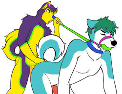 2boys anthro ass blue_fur collar doggy_style erection furry furry_only gag green_fur leash male male_on_male maledom malesub multiple_boys no_humans nude penis pink pinki-husky purple_fur sex tail wiskar yaoi yellow_fur