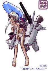 r-11s_tropical_angel r-type r-type_final tagme