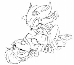 2016 anthro areola big_breasts breasts chipmunk duo erect_nipples female hedgehog hyoumaru male mammal nipples penetration polarplunge pussy rodent sally_acorn sex shadow_the_hedgehog sonic_(series) vaginal_penetration