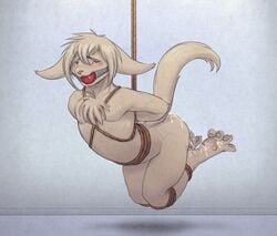 ambiguous_gender ball_gag bondage bound cum dreiker furry gag keith_keiser male_only rope twokinds