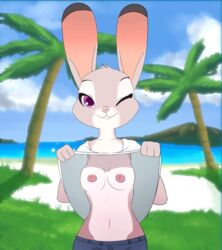 animated beach breasts clothing disney furry judy_hopps krayboost looking_at_viewer nipples outdoors purple_eyes rabbit seaside shirt shirt_lift small_breasts water wink zootopia