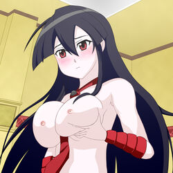 akame_(akame_ga_kill!) akame_ga_kill! black_hair breast_squeeze breasts pointy_chin