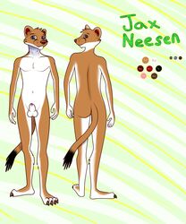 1boy 2016 anthro ass balls canine ermine fur hybrid jaxneesen looking_at_viewer male male_only mammal model_sheet mustelid nude penis simple_background smile solo weasel