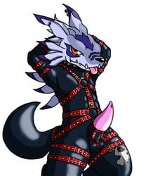 1boy anthro balls canine clothing cute_fangs digimon front_view fur harness looking_at_viewer male male_only mammal naughty_face penis pinup pose rubber simple_background solo soukouryu stripes tapering_penis teeth tongue tongue_out weregarurumon white_fur wolf