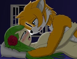 anthro bed bedroom blue_eyes blush breasts canine cosmo_the_seedrian duo eye_contact female flora_fauna flower fox fur glarky-chan green_hair hair half-closed_eyes interspecies intimate lying male mammal missionary_position multicolored_fur nipples nude on_back open_mouth orange_fur plant romantic_couple rose sex sonic_(series) sweat tails two_tone_fur white_fur wolf