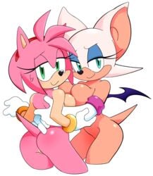 2girls amy_rose arms_around_waist bat bat_wings breast_press gloves hedgehog looking_at_viewer multiple_girls pussy ring rouge_the_bat seductive_smile sega sonic_(series) tail watatanza yuri