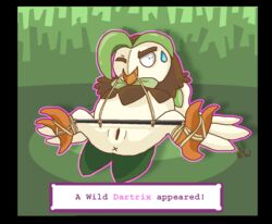 3_toes anus ass avian beak bird black_border bondage bound claws dartrix detailed_background elktherian english_text feet green_background nintendo nude one_eye_closed pokemon pokemon_(species) pokemon_sm pussy simple_background spread_legs spreader_bar sweat sweatdrop text toes video_games