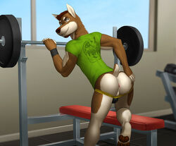 1boy anthro anus ass backsack balls bent_over biceps blue_eyes brown_fur brown_hair bulge canine clothing doberman drew_dubsky facial_piercing fur gym hair hand_on_ass heterochromia husky jockstrap leaning leaning_forward lip_piercing looking_back male male_only mammal monds muscular paws piercing pointy_ears presenting presenting_anus presenting_hindquarters raised_tail shirt short_hair smile solo spread_ass spreading standing teeth underwear weights white_fur yellow_eyes