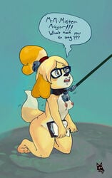 <3_eyes animal_crossing anthro bell blush bondage breasts canine caption clip_board collar drooling eyewear female femsub fur glasses hair hairband heart isabelle_(animal_crossing) kneeling leash mammal newd nintendo nipples nude open_mouth saliva shih_tzu simple_background solo teeth video_games yellow_fur